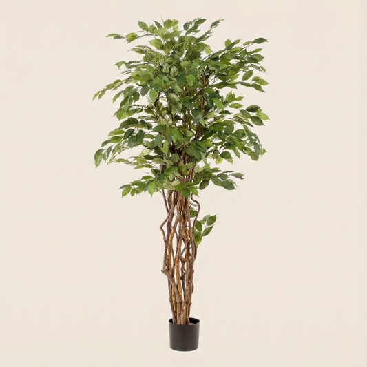 Kunstplant Ficus Liana (Vioolbladplant) - H 170 cm