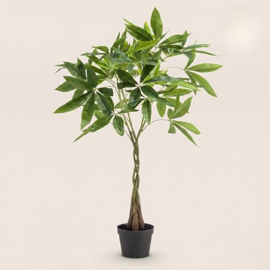 Kunstplant Pachira Aquatica (Geldboom) - H 90 cm