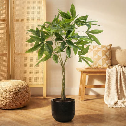 Kunstplant Pachira Aquatica (Geldboom) - H 90 cm