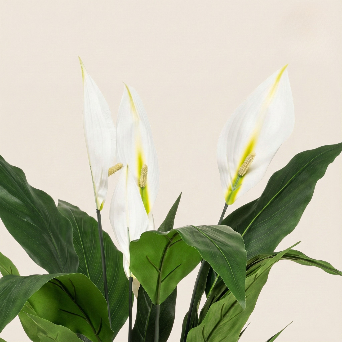 Kunstplant Spathiphyllum (Lepelplant) - H 90 cm