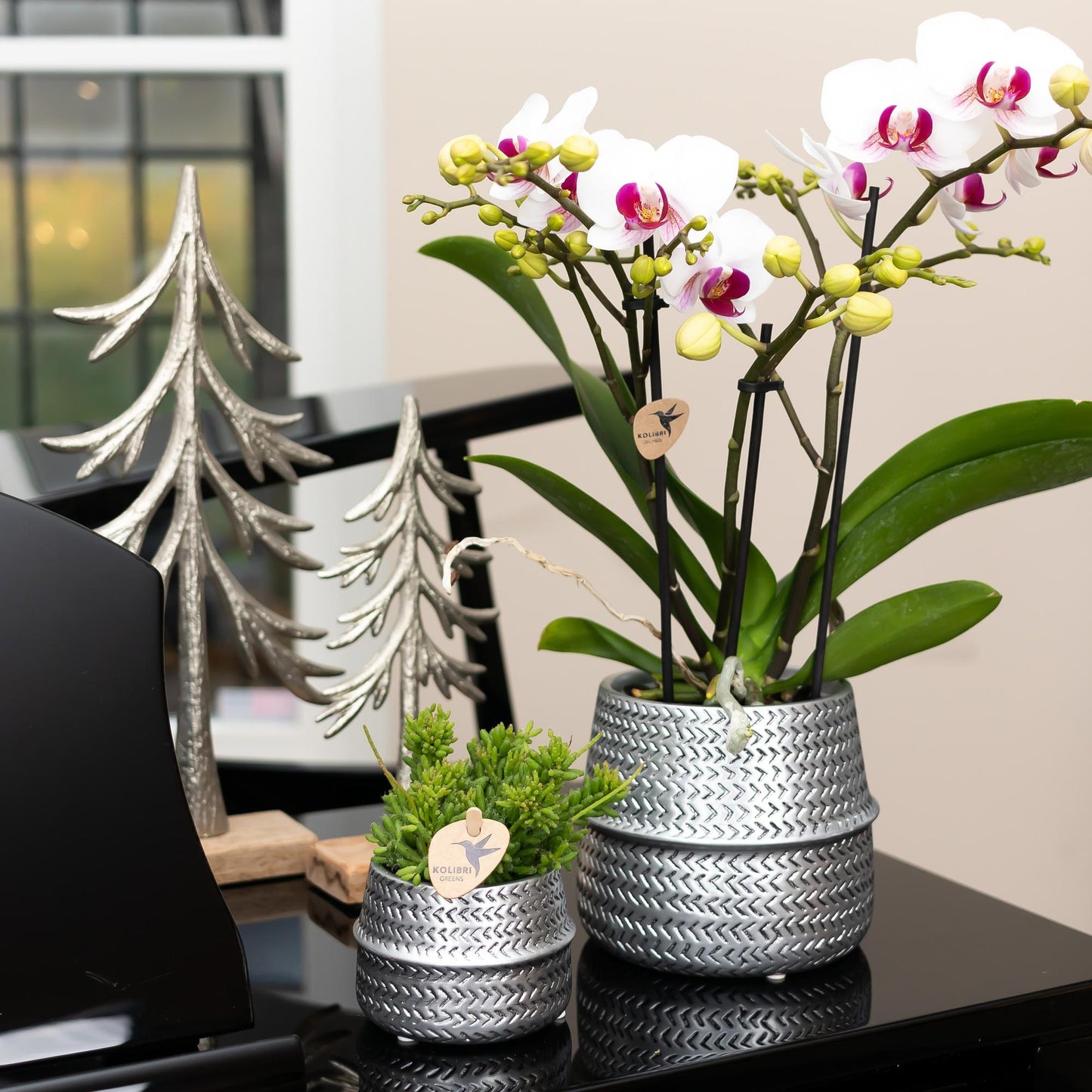 Kolibri Home | Groove bloempot - Zilveren keramieken sierpot - Ø9cm