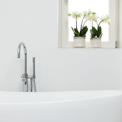 Witte Orchidee Pure Ghent - Ø12cm