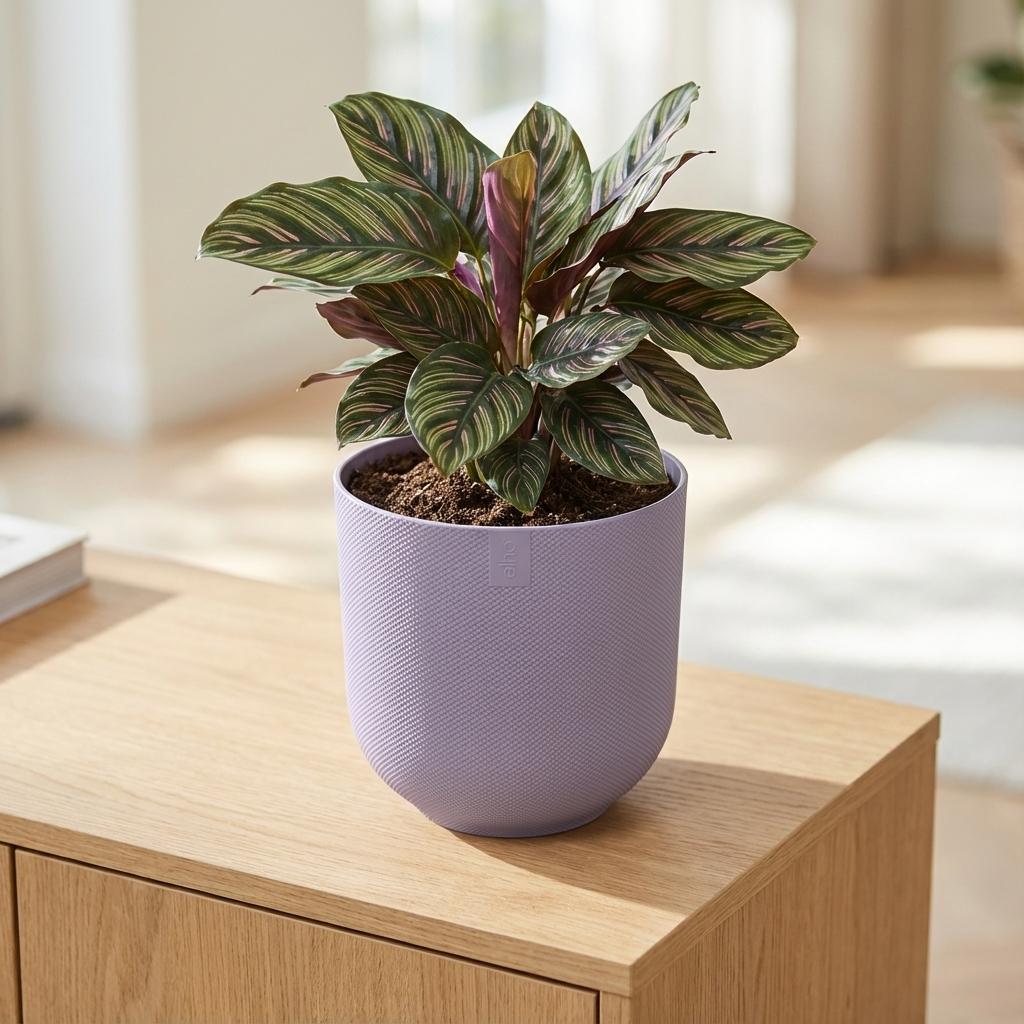 Pot Elho Jazz Round Lavender Lilac - D 23 cm