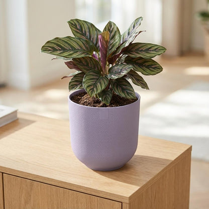 Pot Elho Jazz Round Lavender Lilac - D 23 cm