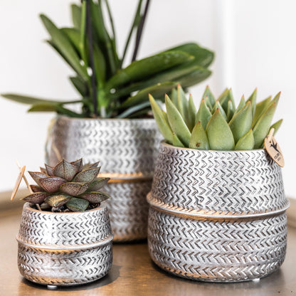 Kolibri Home | Groove bloempot - Zilveren keramieken sierpot - Ø12cm