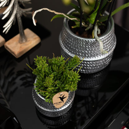 Kolibri Home | Groove bloempot - Zilveren keramieken sierpot - Ø6cm