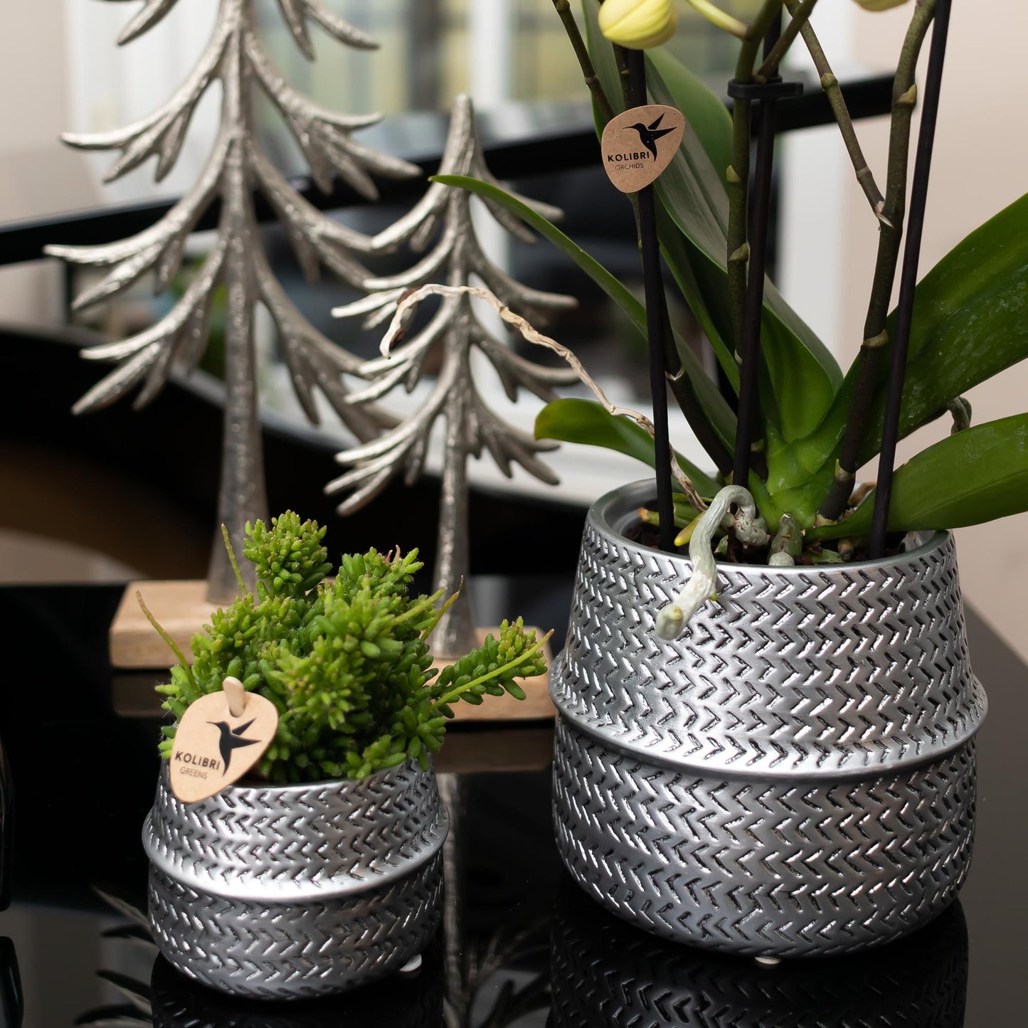 Kolibri Home | Groove bloempot - Zilveren keramieken sierpot - Ø6cm