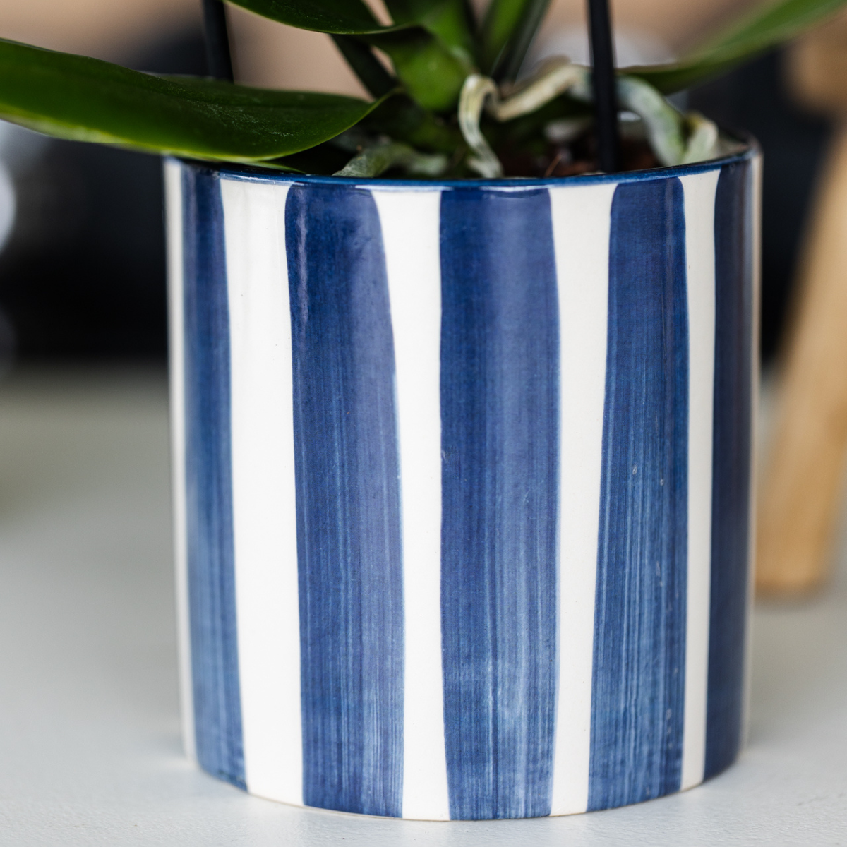 Gift Set Blue Sky