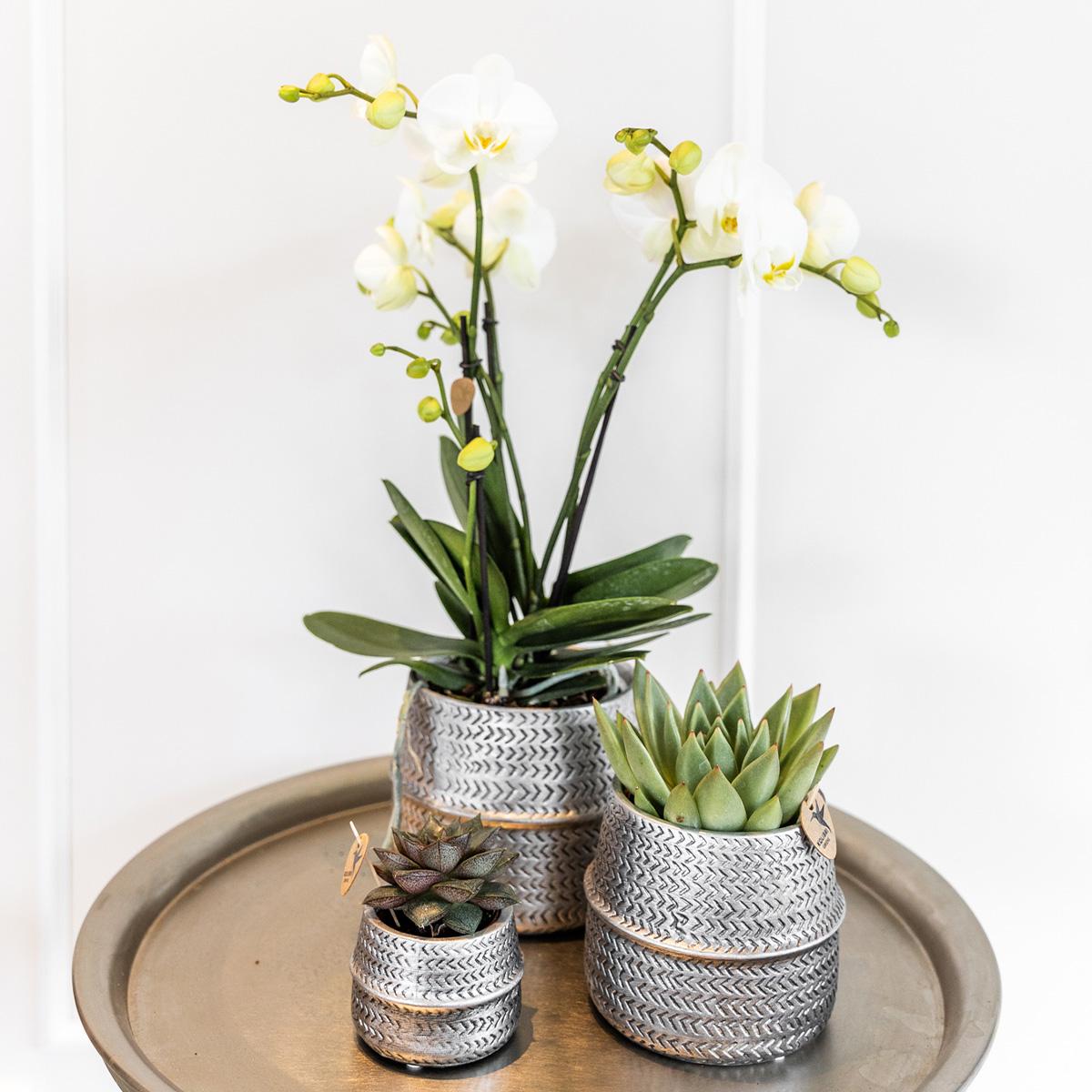 Kolibri Home | Groove bloempot - Zilveren keramieken sierpot - Ø9cm