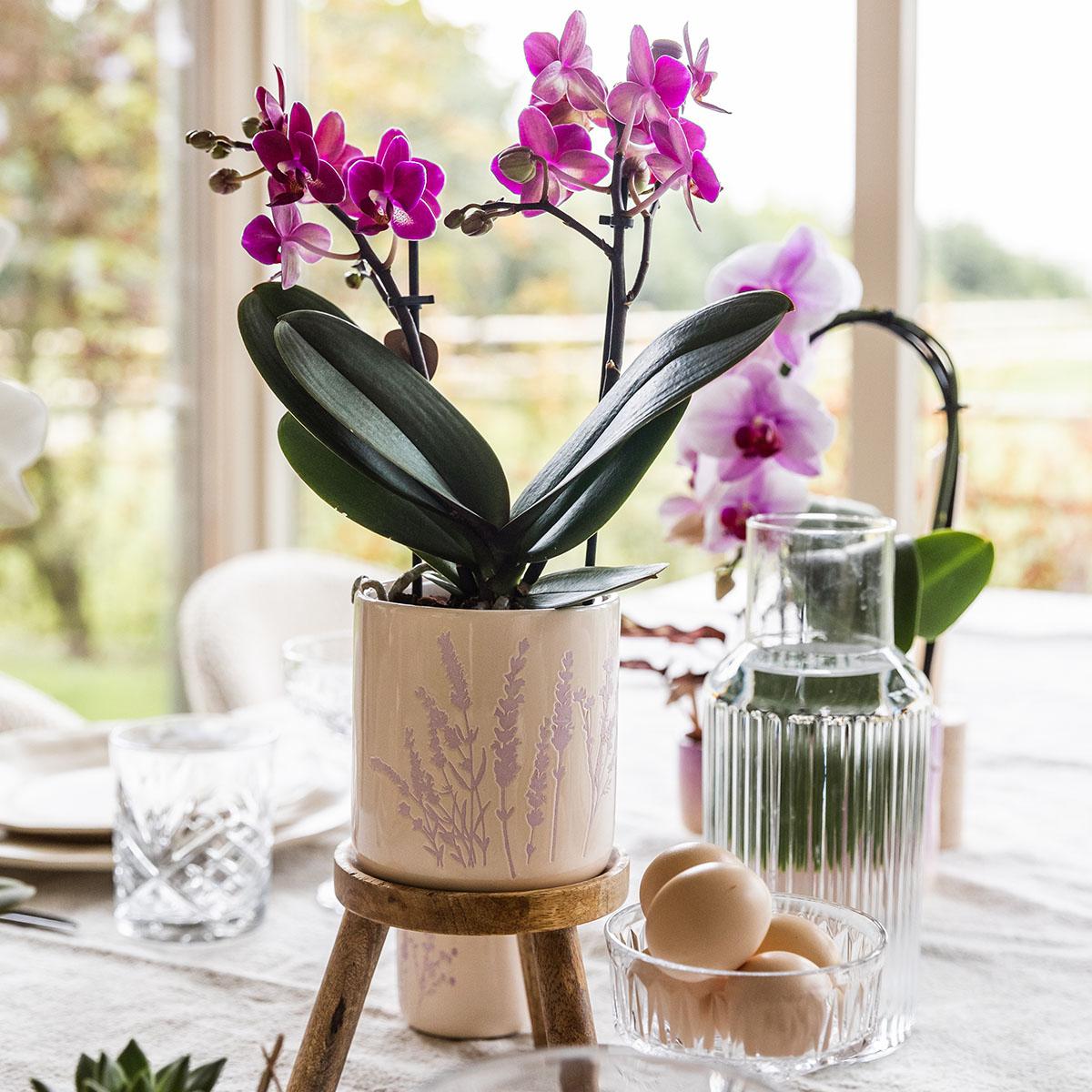 Sierpot Floral Lavendel - D 9 cm