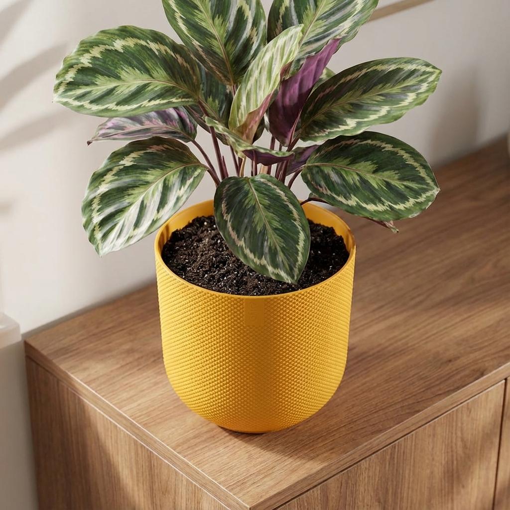 Pot Elho Jazz Round Amber Geel - D 14 cm