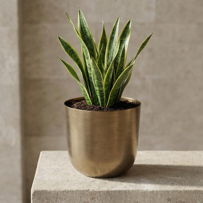 Pot Mayk Goud - D 23 cm