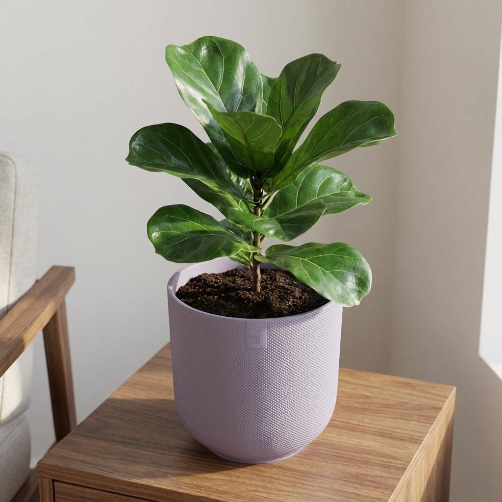 Pot Elho Jazz Round Lavender Lilac - D 26 cm