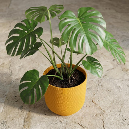 Pot Elho Jazz Round Amber Geel - D 19 cm