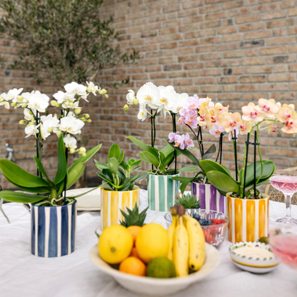 Sierpot Stripe Oranje - D 9 cm